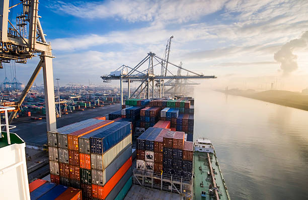 Erratic Tariffs & Small Business