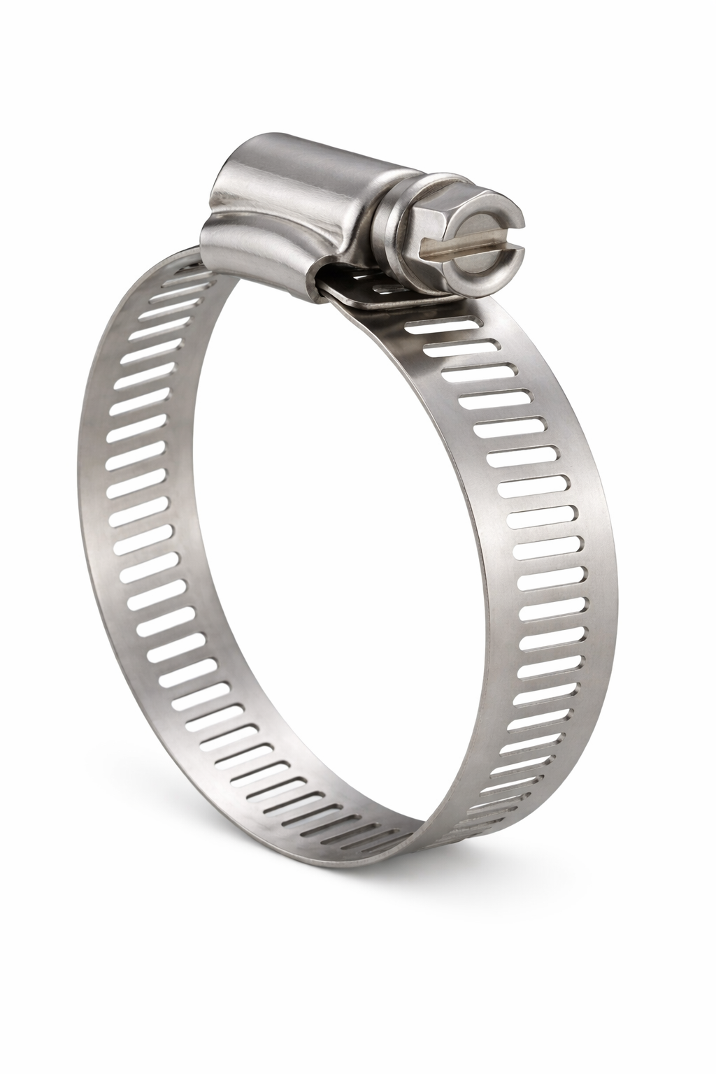 Worm Gear Clamp